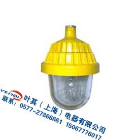 wbpc8720防爆平臺燈價格 wbpc8720防爆平臺燈型號規格